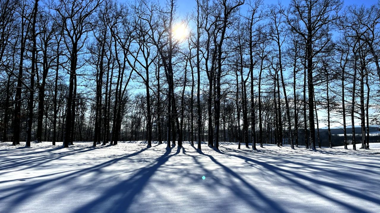 Golf Château de Preisch