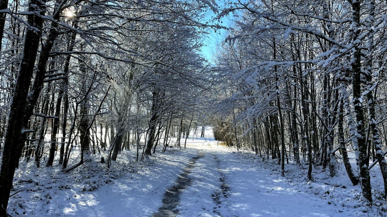 Golf Château de Preisch