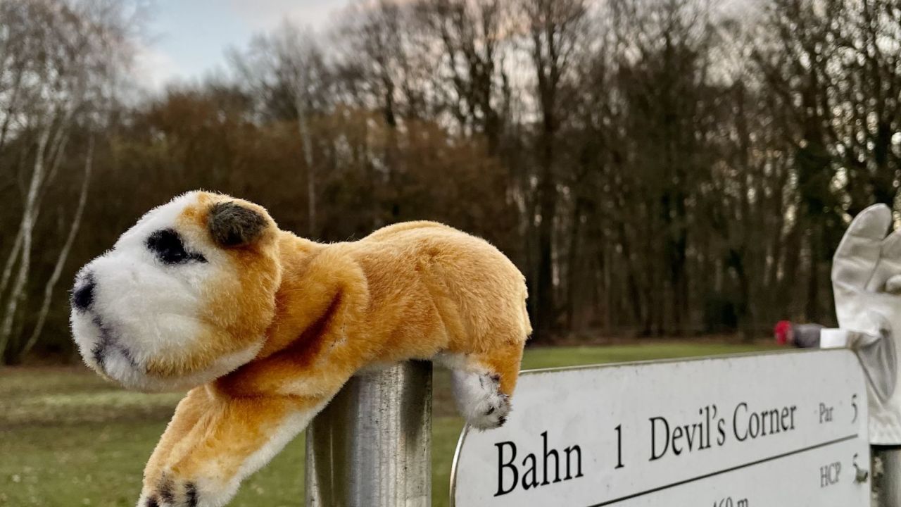 GC Königshof Sittensen