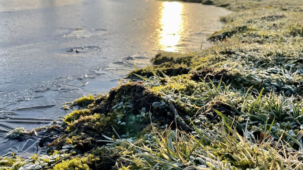 GC Königshof Sittensen