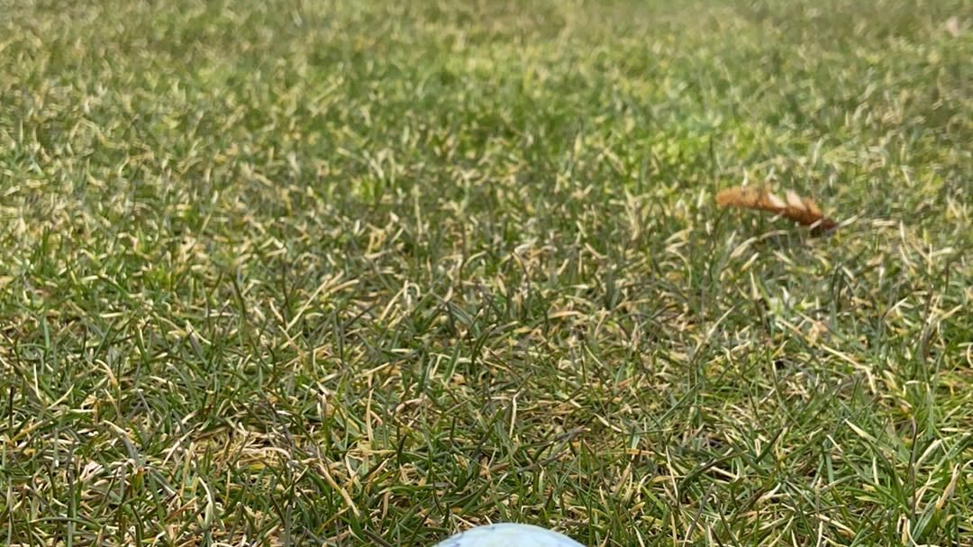 Golfpark am Löwenhof