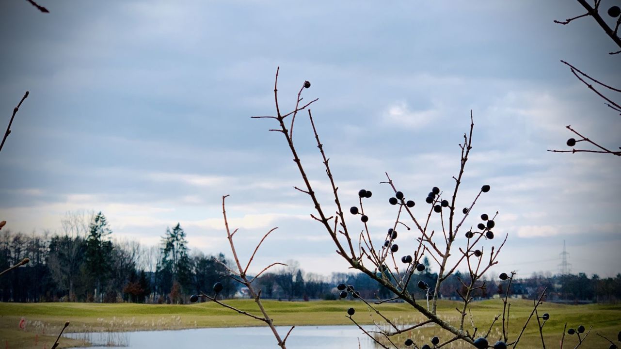 GolfRange München-Germering