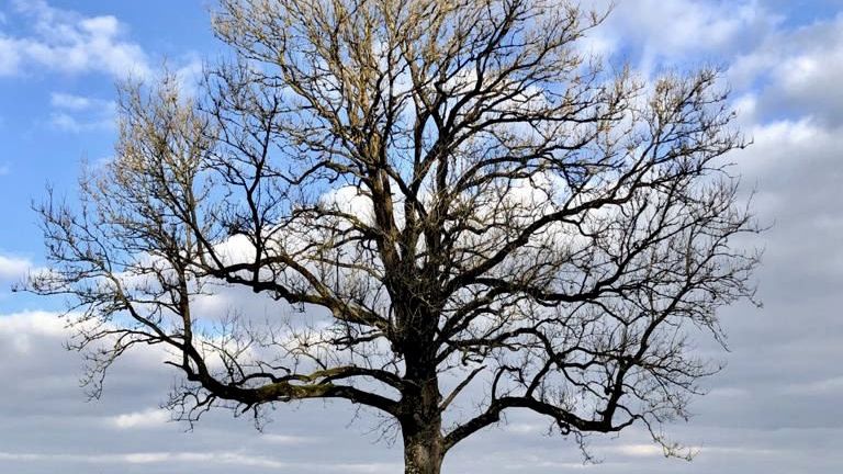 GolfRange München-Germering