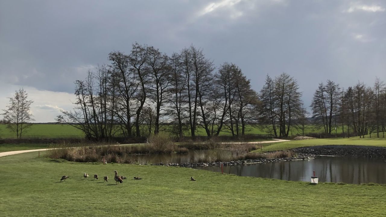 Golfpark am Löwenhof