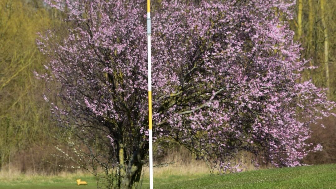 Golf & Country Club Hohwachter Bucht