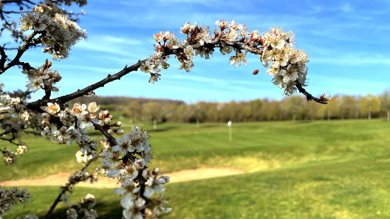 Golf-Resort Bitburger Land