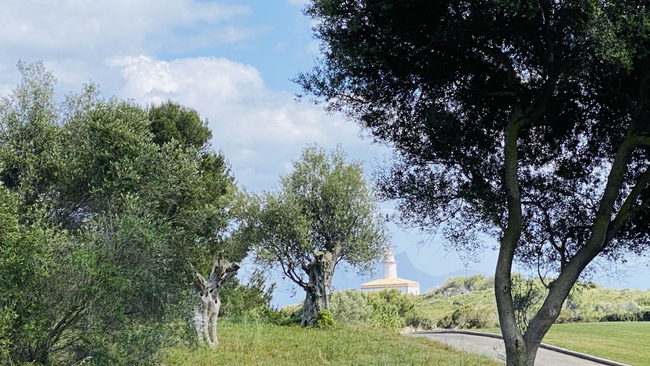 Club de Golf Alcanada