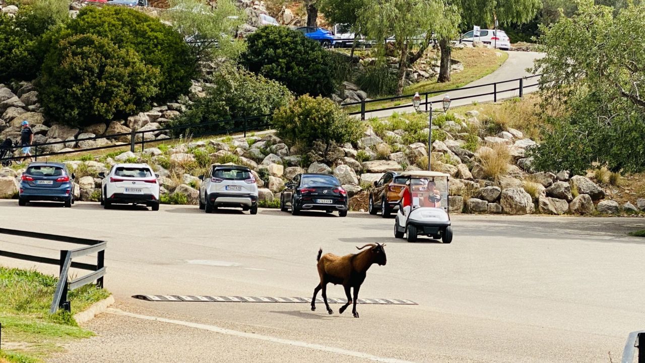28.04.2021
Überraschungsrunde...