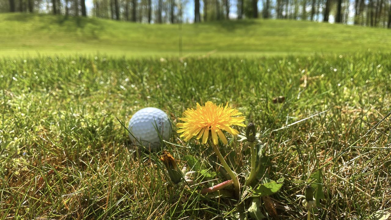 Golf Château de Preisch