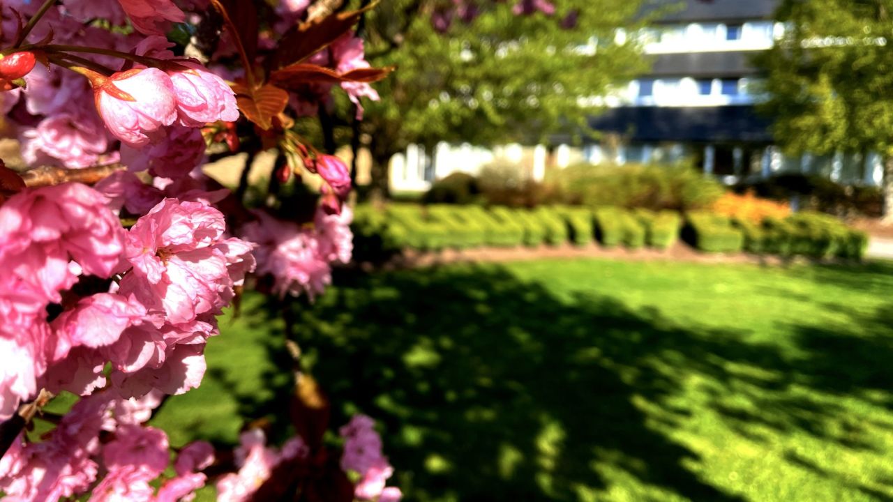 Kikuoka Country Club