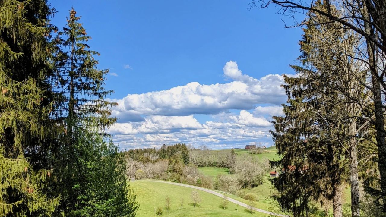 GC Waldegg-Wiggensbach e.V.