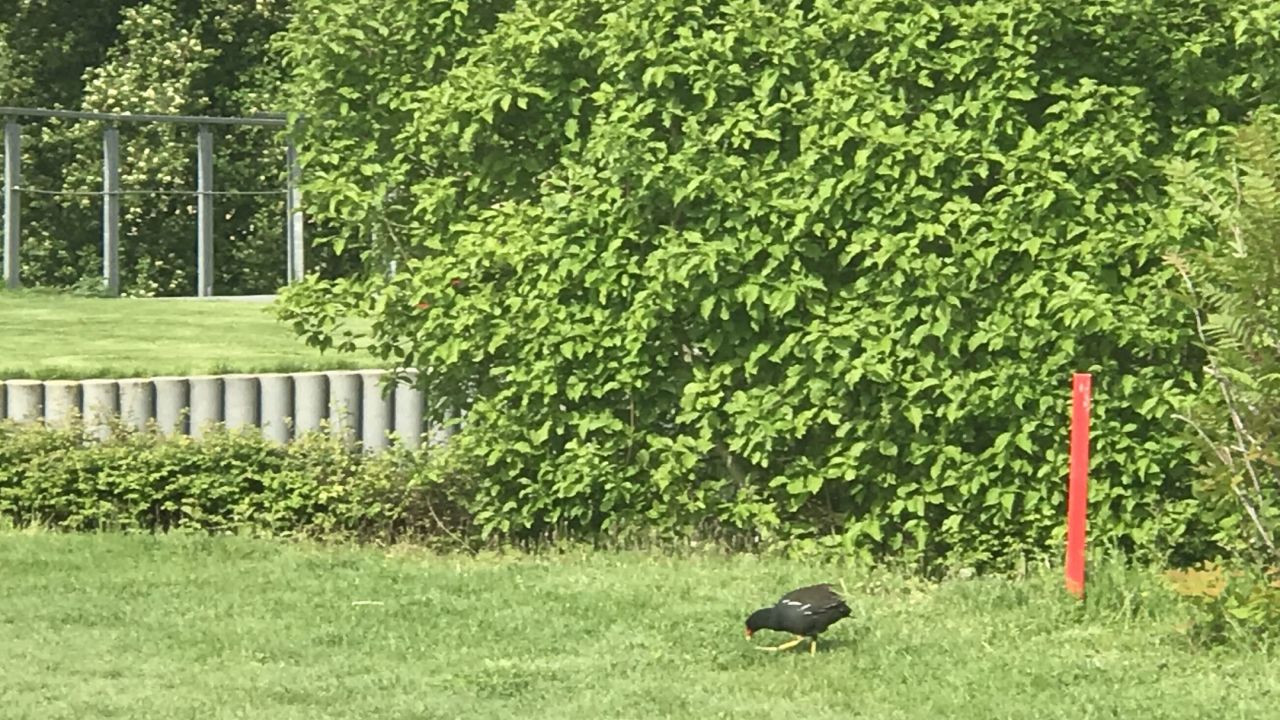 Golf Range Frankfurt