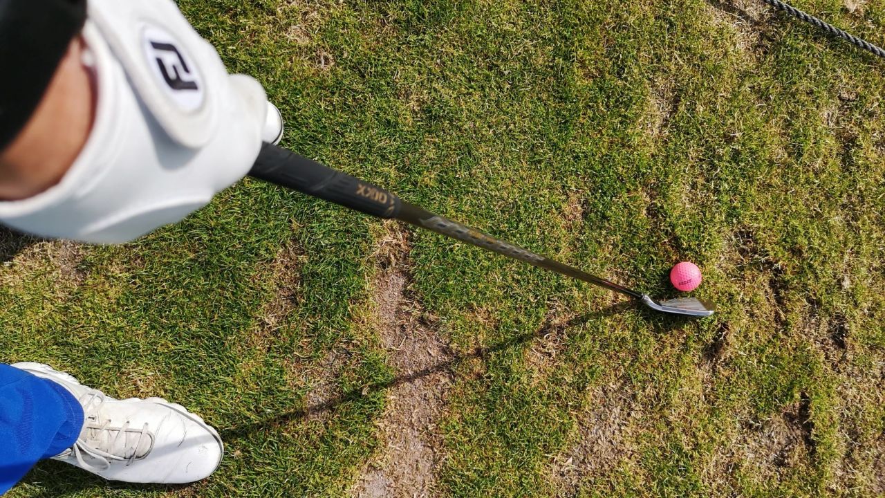 GC Hofgut Scheibenhardt