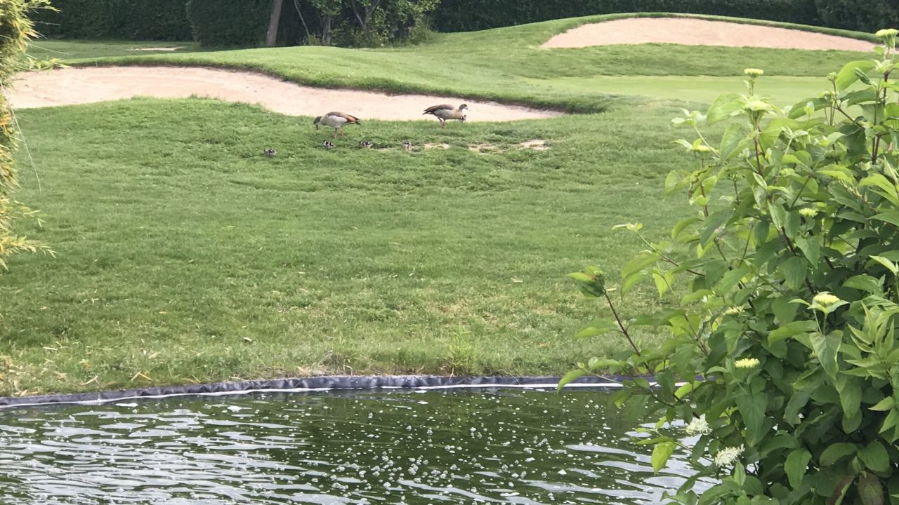 Golf Range Frankfurt