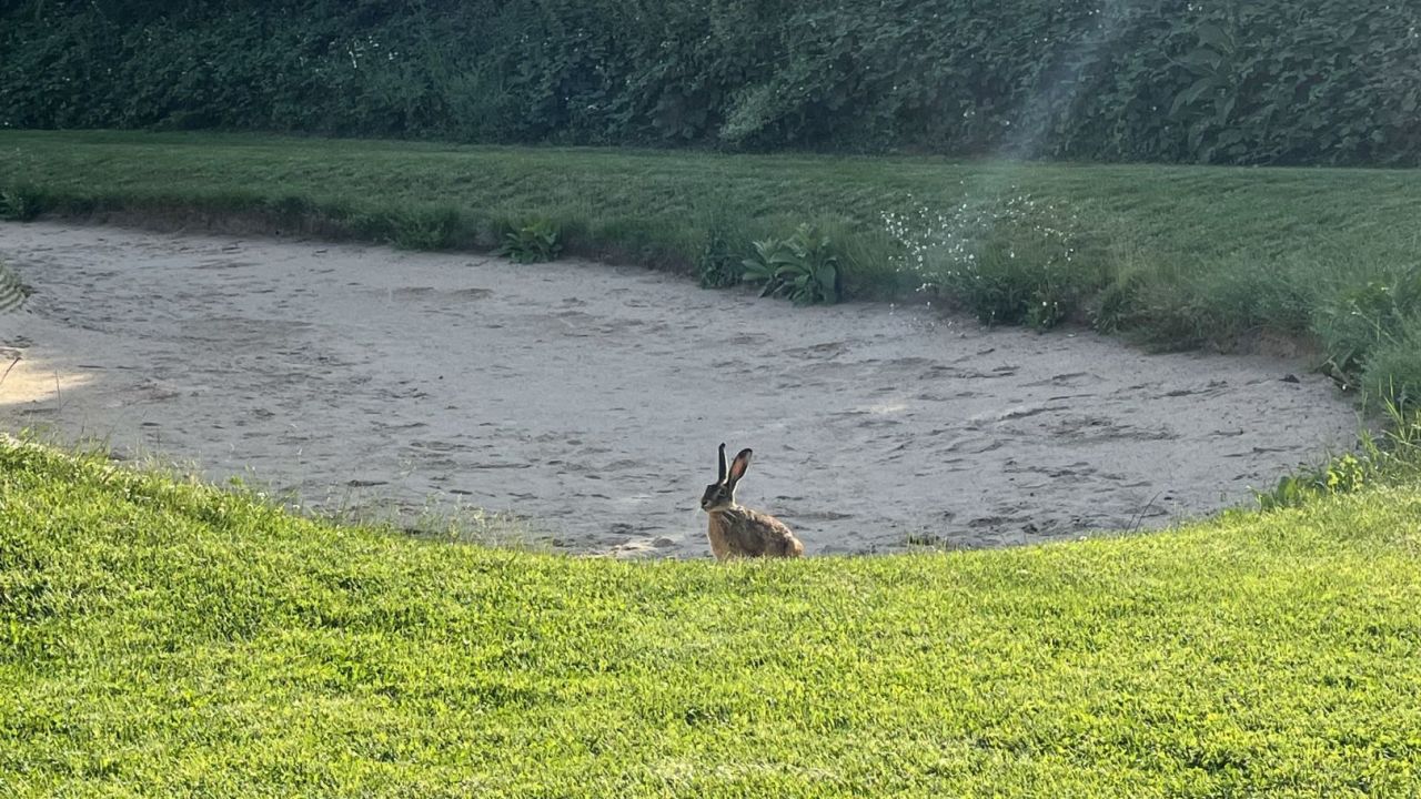 Golf Range Frankfurt