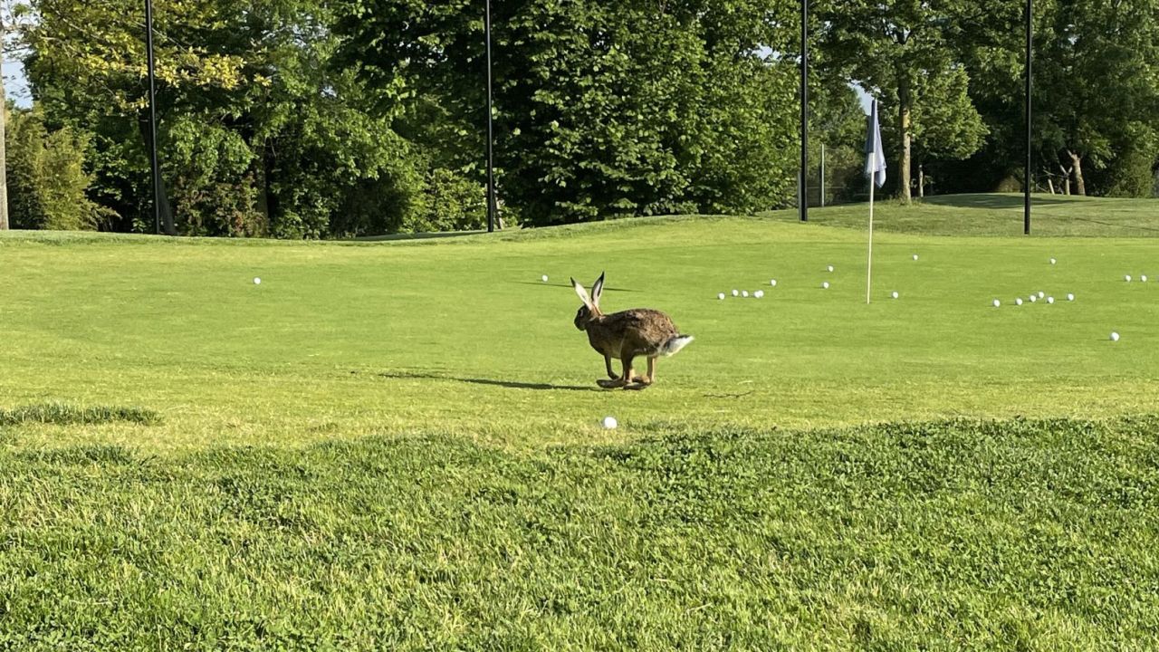 Golf Range Frankfurt