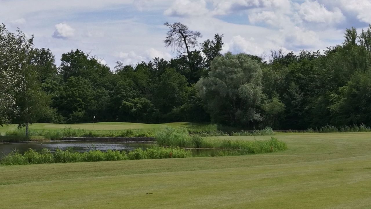 GC Hofgut Scheibenhardt