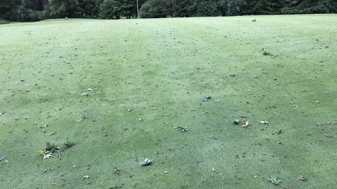 Mittelholsteinischer GC Aukrug