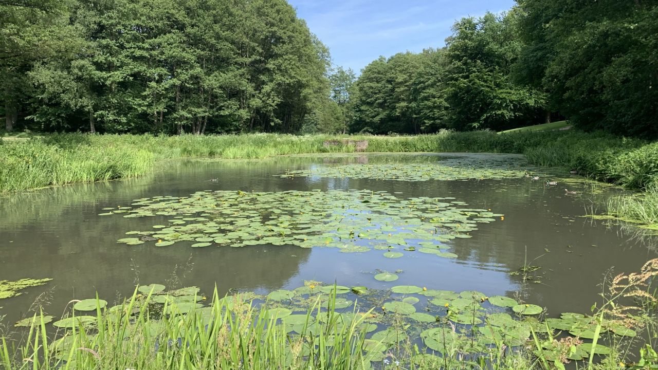 Golfclub Hamburg Gut Waldhof