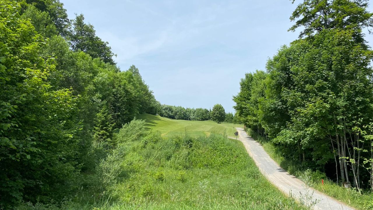 GC Waldegg-Wiggensbach e.V.