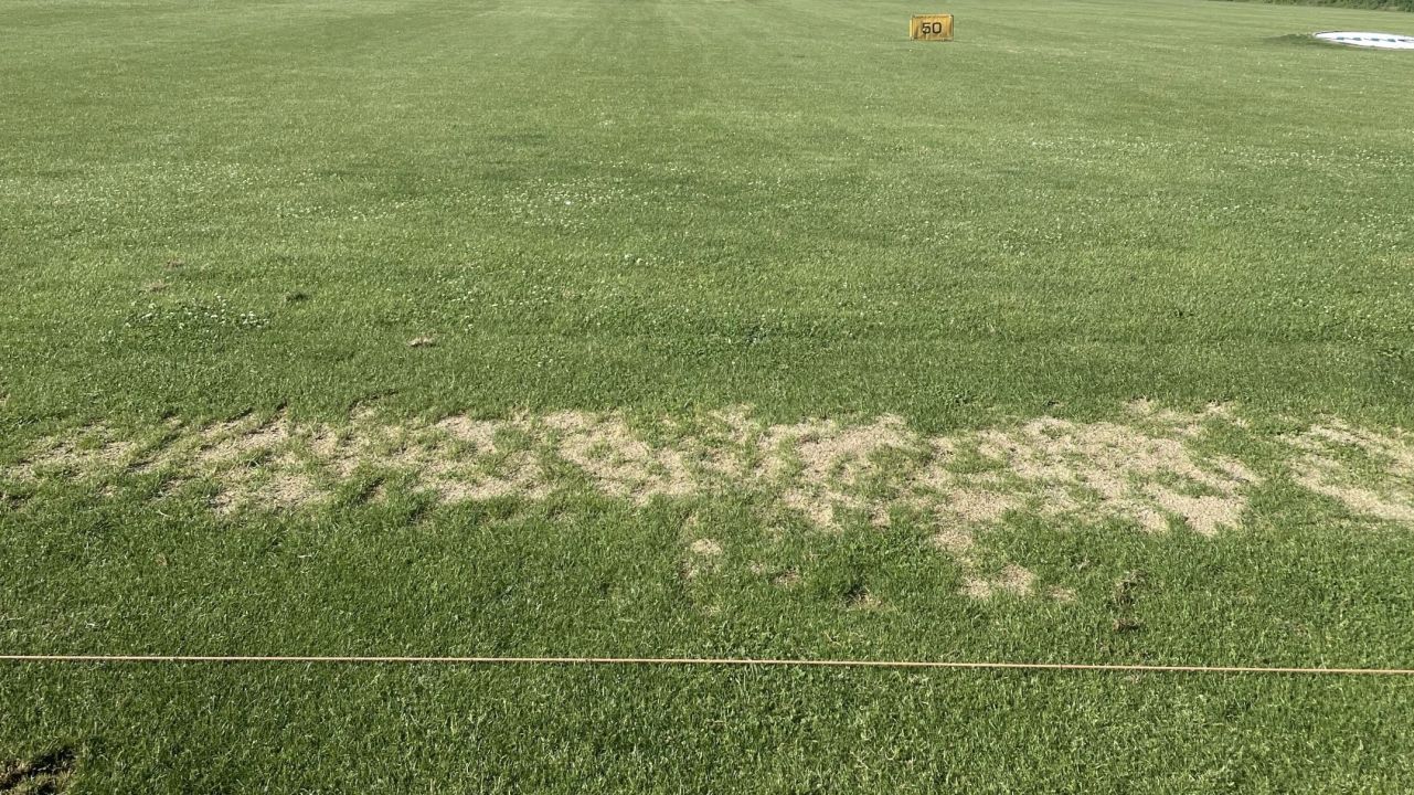 GC Sieben-Berge Rheden