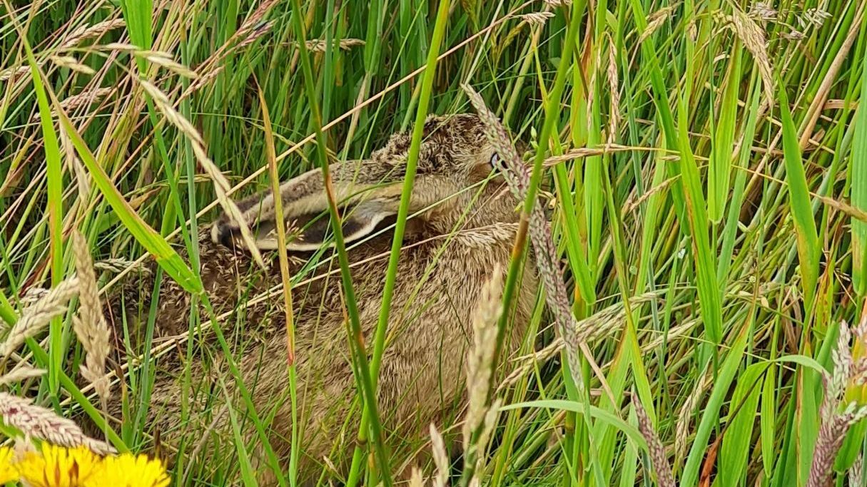 Golf International Moyland