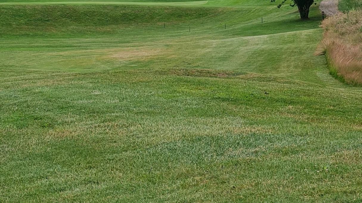 Golf International Moyland