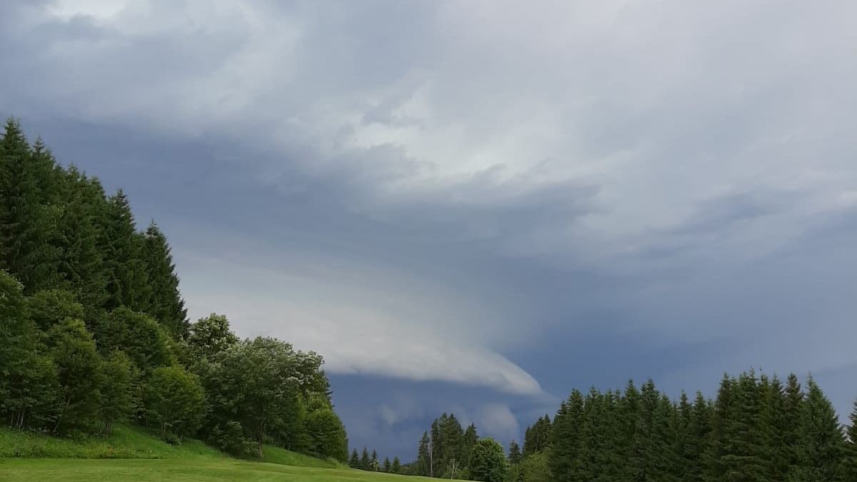 GC Waldegg-Wiggensbach e.V.