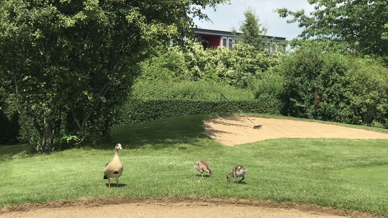 Golf Range Frankfurt