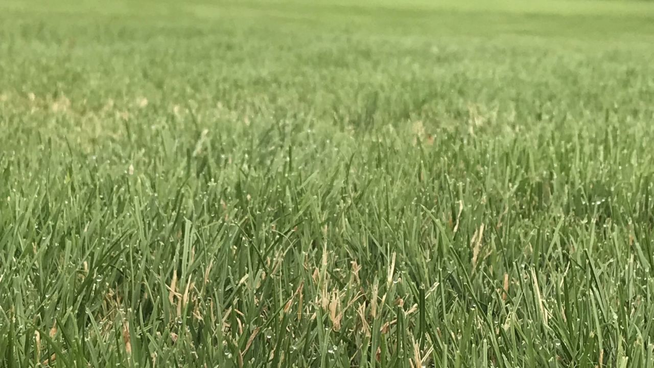 Golf Range Frankfurt