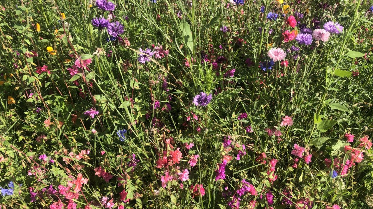 Golf & Country Club Velderhof