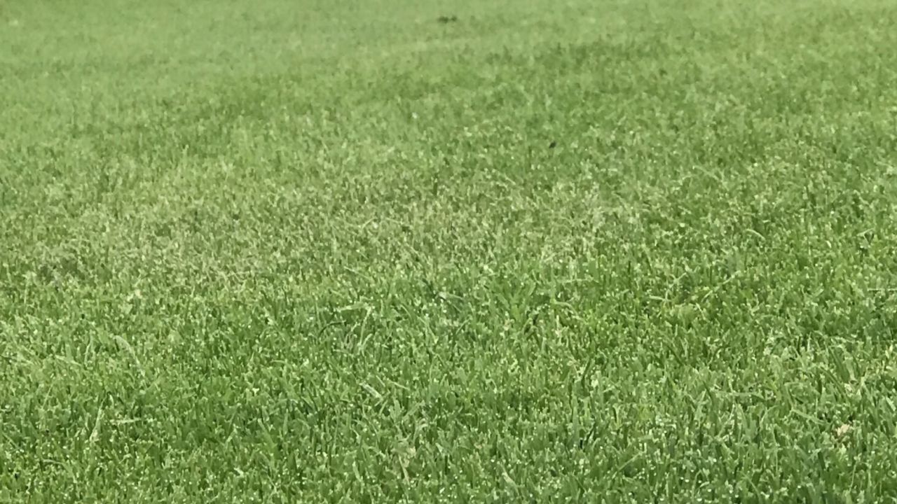 Golf Range Frankfurt