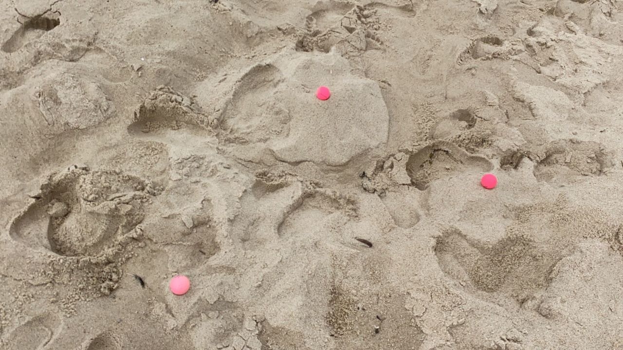 1. Bremer Cross Golf Club n.e.V.