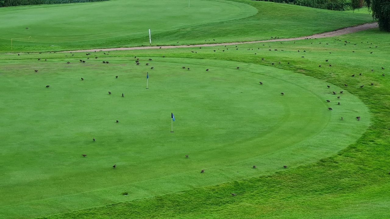 Golfresort Strandgrün Timmendorfer Strand