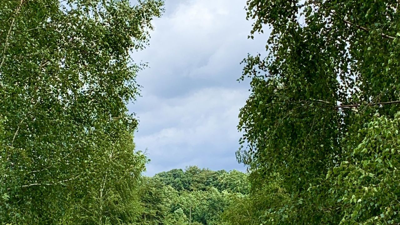 Castanea Resort Adendorf