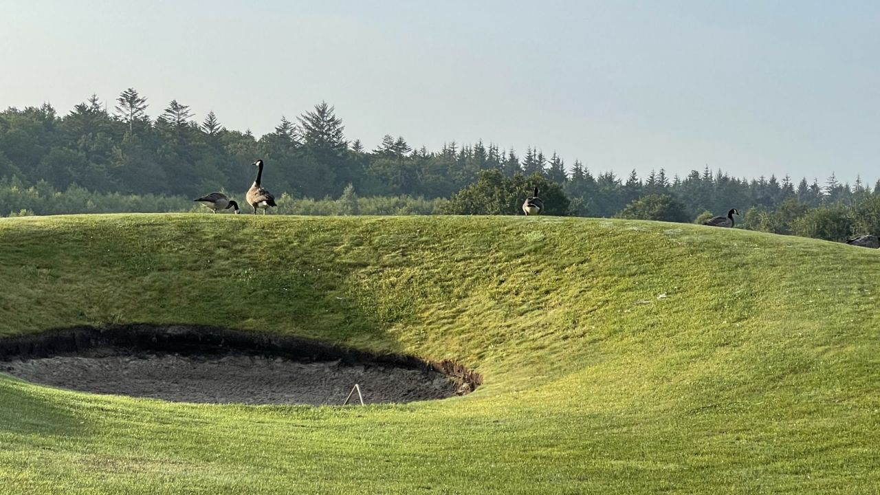 GC Schloss Lütetsburg