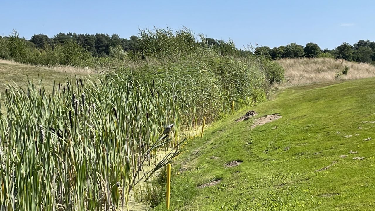 Golf Club Bad Saarow