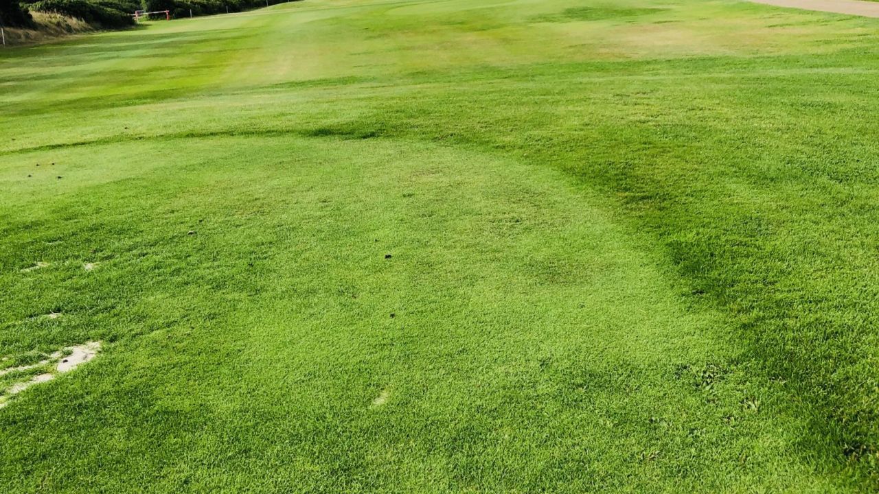 Holmsland Klit Golfklub