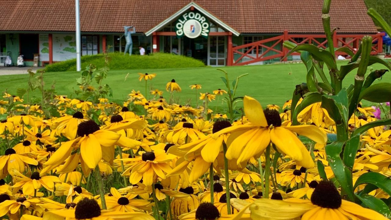 Quellness & Golf Resort Bad Griesbach