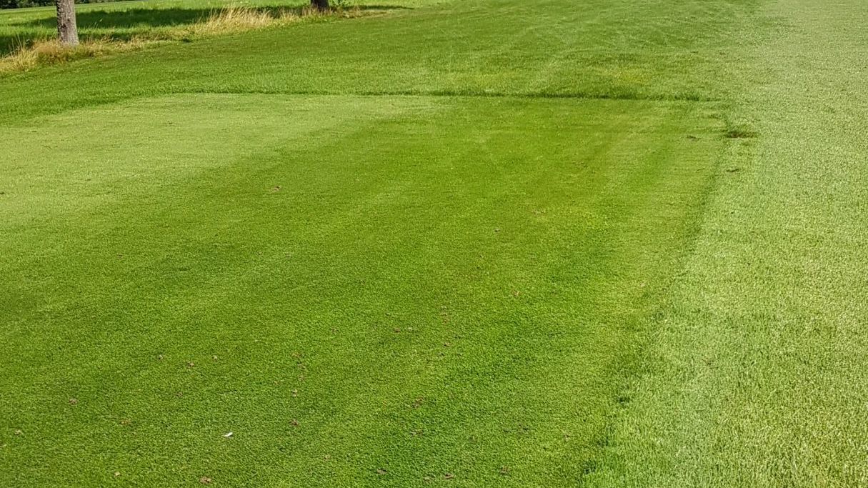 GC Glashofen-Neusaß