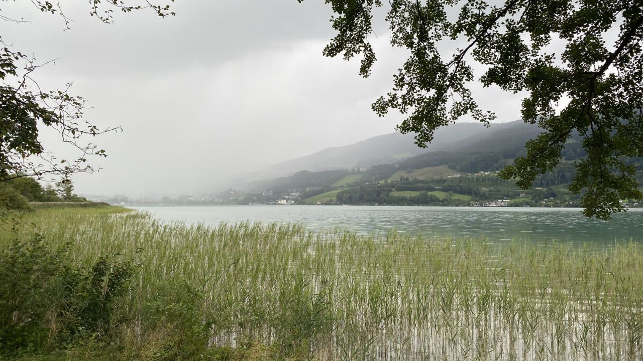 GC am Mondsee