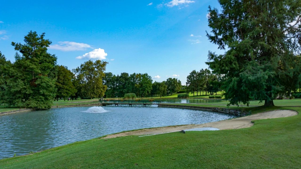 Jedes Jahr stehen bei mir ein...