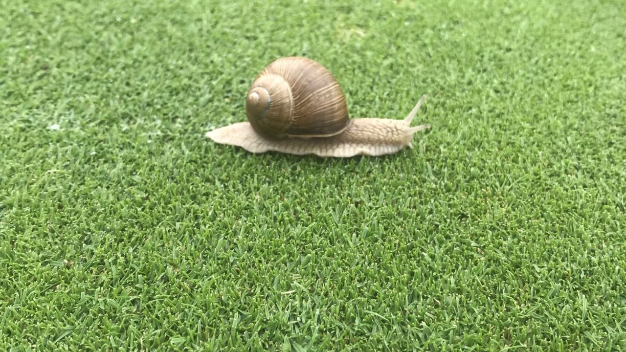 Golfclub Pfaffing Wasserburger Land