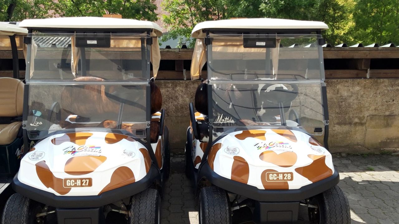 GolfResort Hardenberg