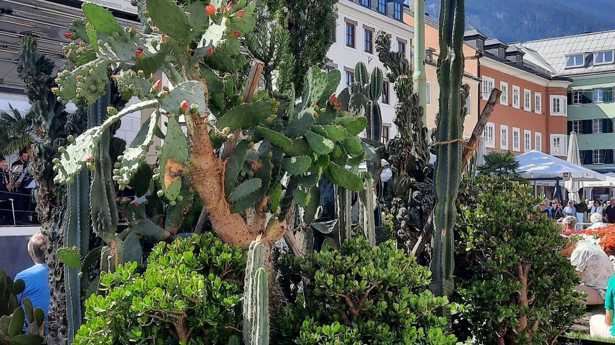 Golfclub Dolomitengolf Osttirol