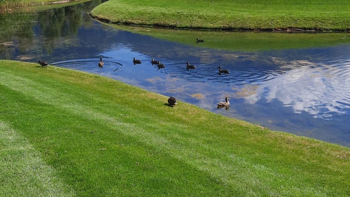 Golfclub Dolomitengolf Osttirol