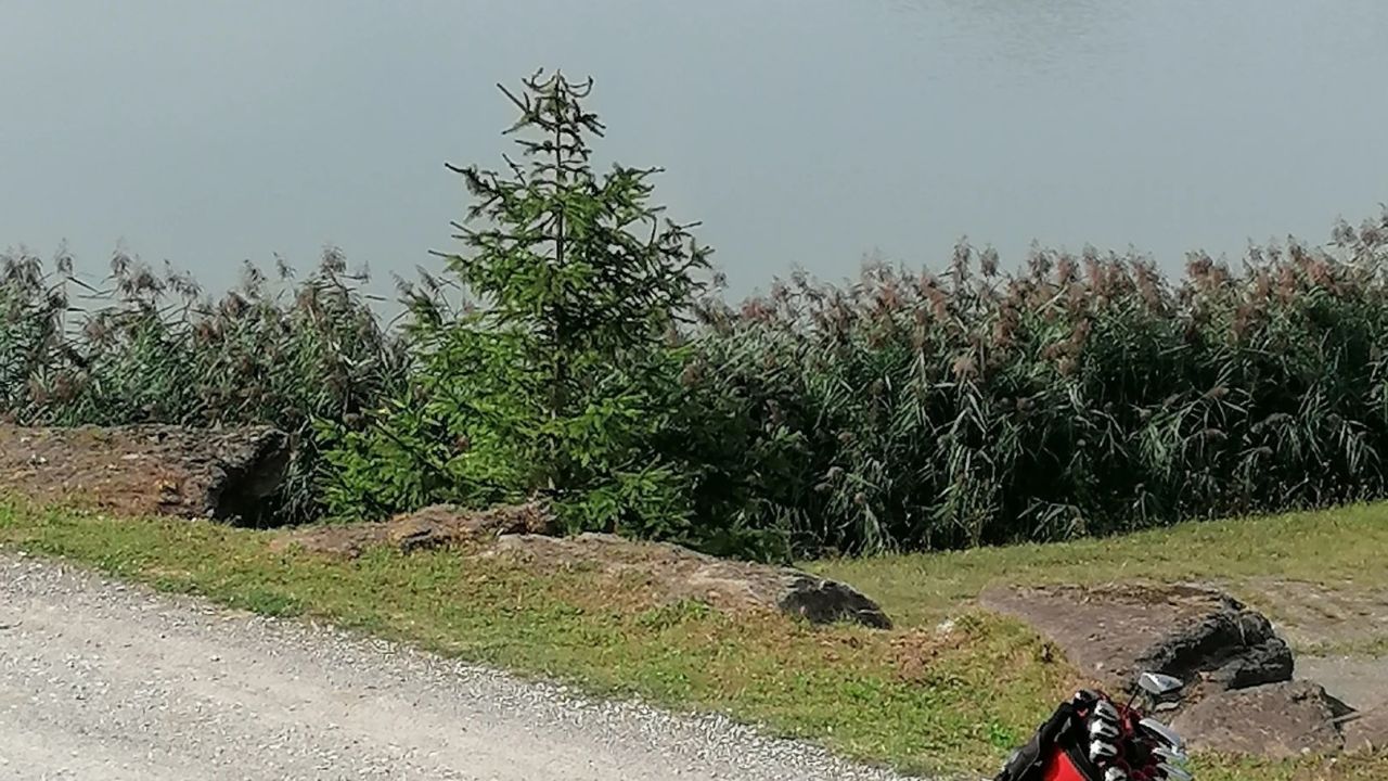 GolfResort Hardenberg