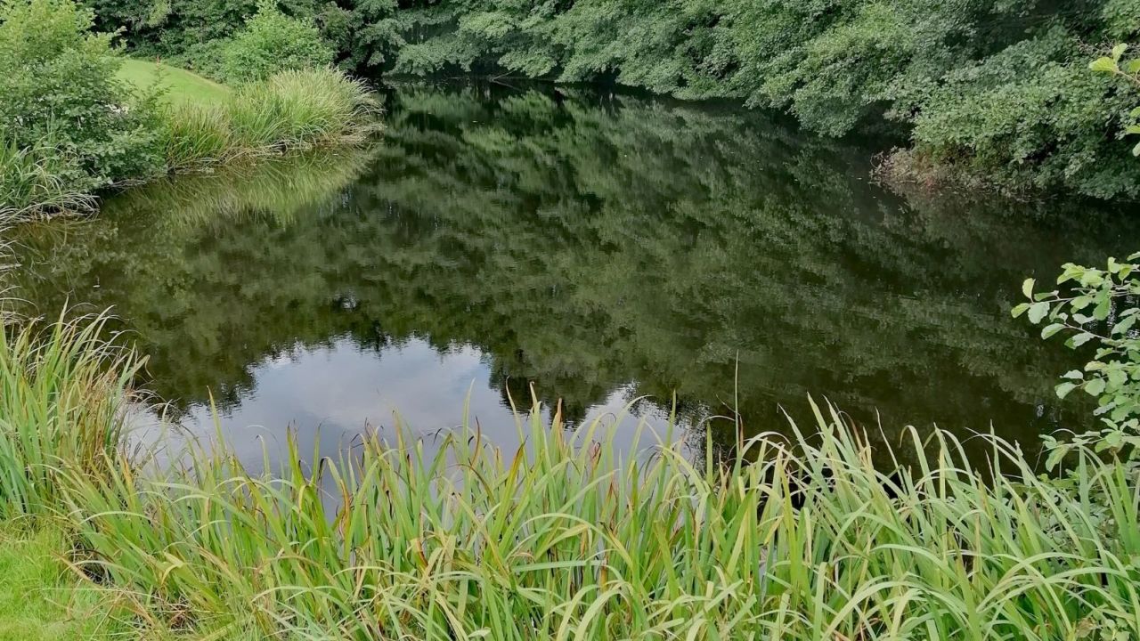 Golf Course Siebengebirge