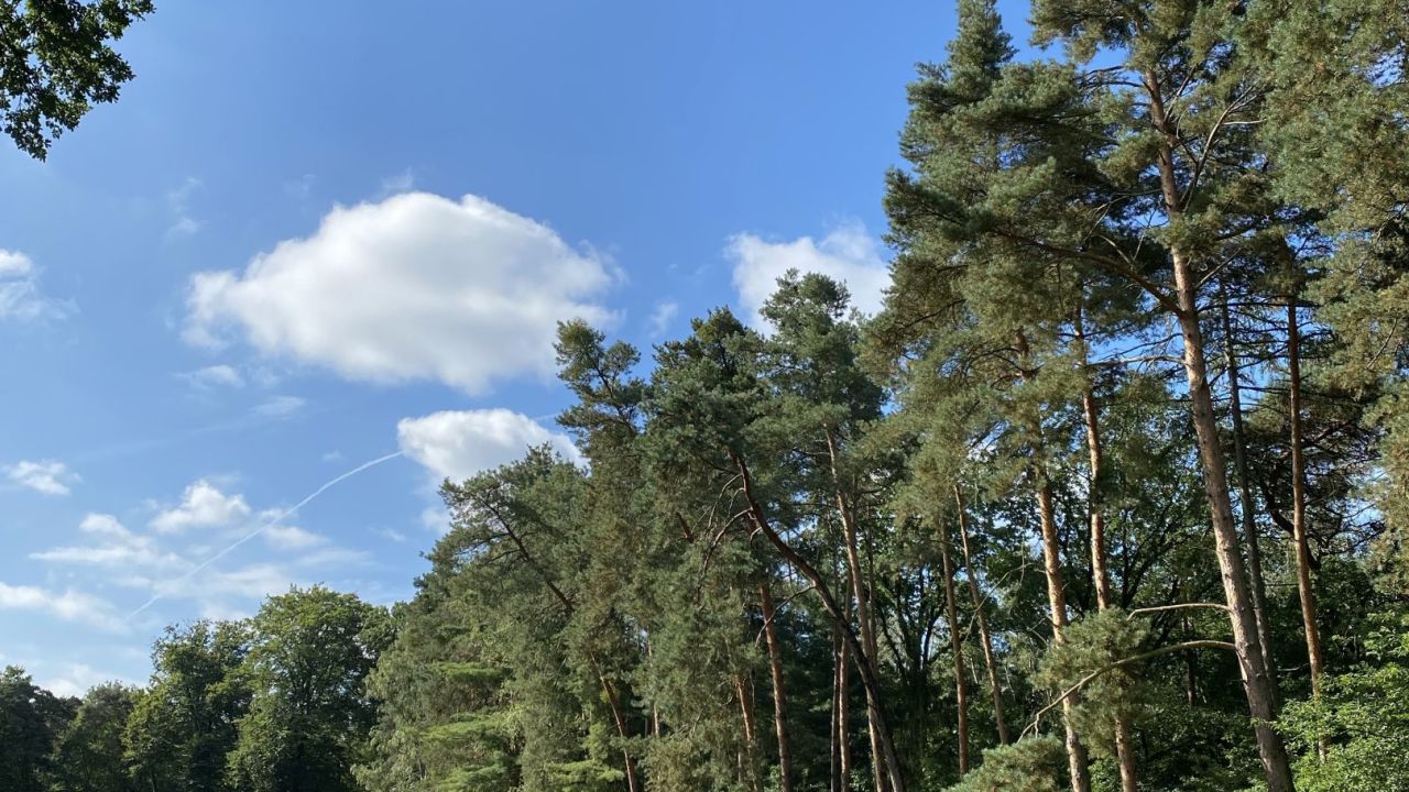 Frankfurter Golf Club e. V.