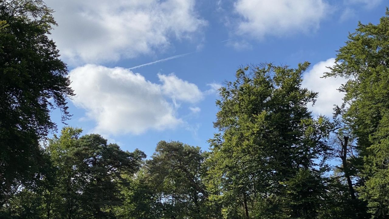 Frankfurter Golf Club e. V.